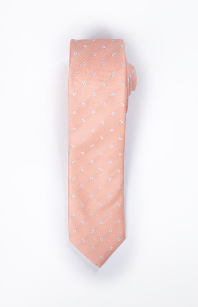 Salmon tie with blue paisley icons.