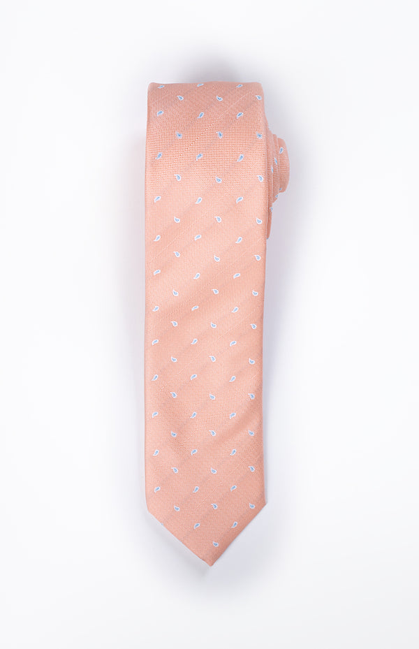 Salmon tie with blue paisley icons.